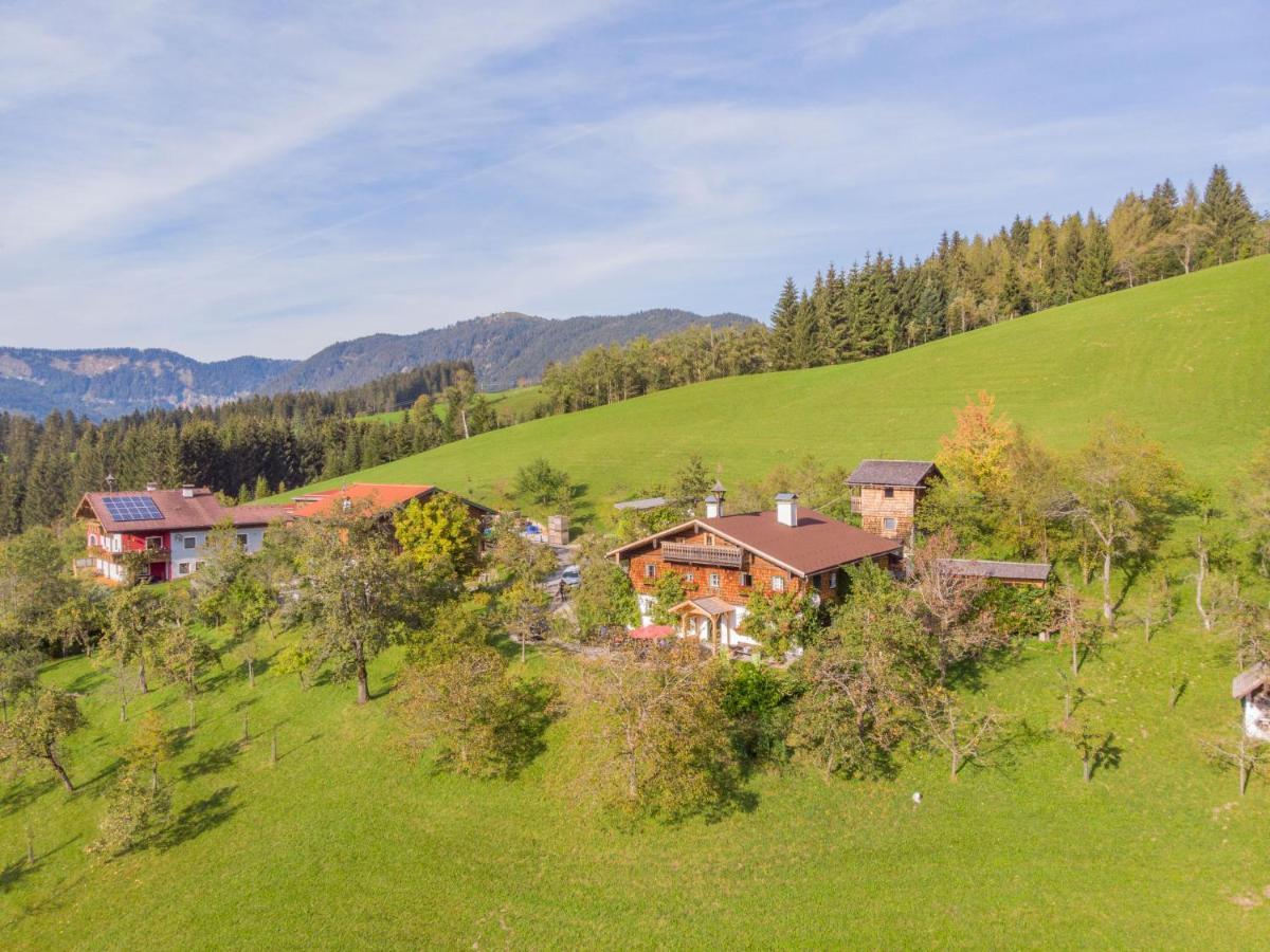 Holiday Home Oberhaslach By Interhome Abtenau Eksteriør billede