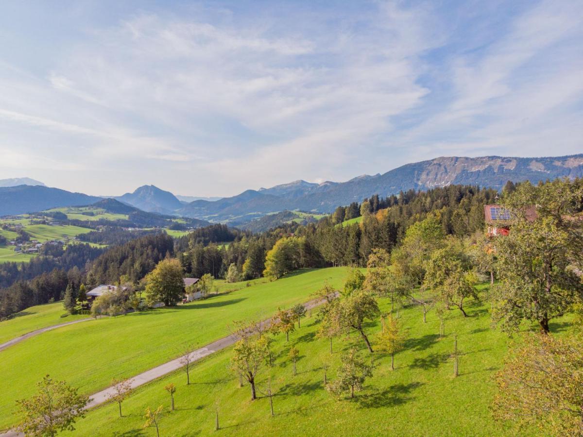 Holiday Home Oberhaslach By Interhome Abtenau Eksteriør billede
