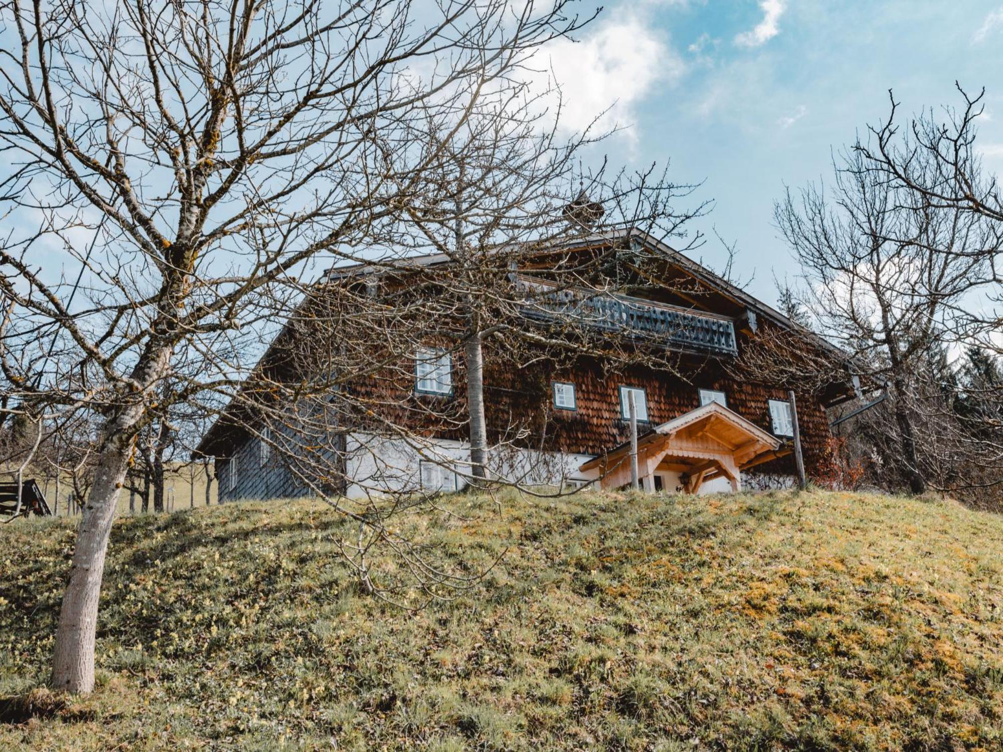 Holiday Home Oberhaslach By Interhome Abtenau Eksteriør billede